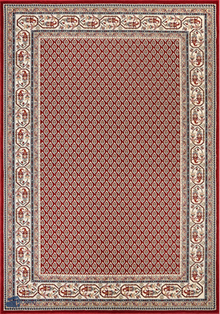 Amina 27003/210 | carpet.ua 