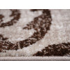 Cappuccino 16003/12 | Carpet.ua