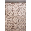 Cappuccino 16030/103 (runner) | Carpet.ua