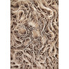 Cappuccino 16127/12 | carpet.ua 