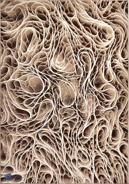 Cappuccino 16127/12 | carpet.ua 