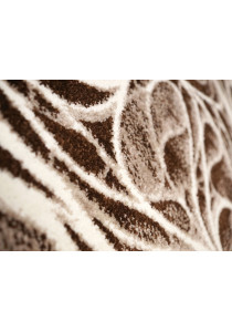 Cappuccino 16127/12