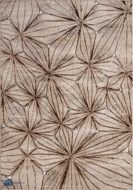 Cappuccino 16128/13 | Carpet.ua