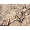 Cappuccino 16139/11 | Carpet.ua