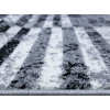 Cappuccino 16431/908 | Carpet.ua