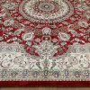 Cardinal 25501/210 | Carpet.ua