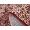 Cardinal 25523/120 | Carpet.ua
