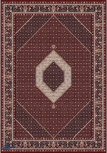 Cardinal 25533/210 | Carpet.ua