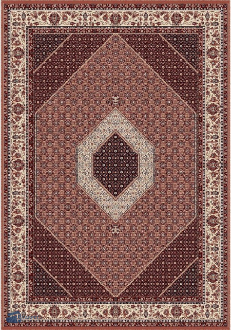 Cardinal 25533/510 | Carpet.ua