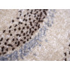 Daffi 13050/110 | Carpet.ua