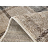 Daffi 13080/120 | carpet.ua 