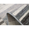 Dream 18007/146BF | carpet.ua 