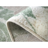 Dream 18067/120 | Carpet.ua