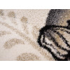 Dream 18071/110 | Carpet.ua