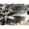Dream 18120/195 r | Carpet.ua