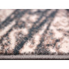 Dream 18143/142 | Carpet.ua