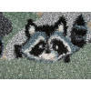 Dream 18155/394 | carpet.ua 