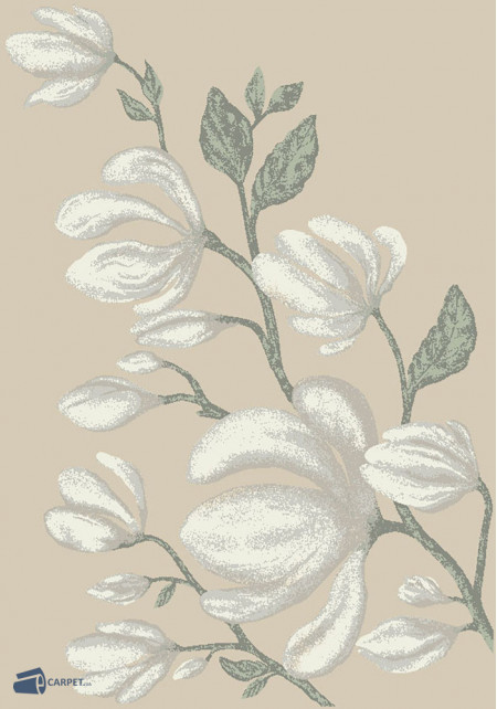 Dream 18178/120 | carpet.ua 