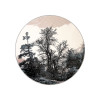Dream 18198/192 r | Carpet.ua