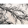 Dream 18198/192 r | Carpet.ua