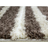 Fantasy Beige 12507/88 | Carpet.ua