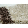 Fantasy Beige 12527/89 | Carpet.ua