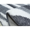 Fantasy Gray 12543/116 | Carpet.ua