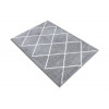 Fantasy Gray 12590/611 | Carpet.ua