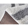 Fantasy Gray 12623/116 | carpet.ua 