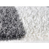 Fantasy Gray 12623/116 | carpet.ua 