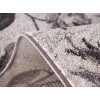Fayno 7107/110 | carpet.ua 