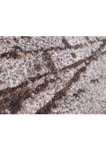 Fayno 7146/216