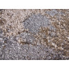 Fayno 7147/123 | carpet.ua 