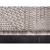 Flex 1954/111 | carpet.ua 