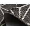 Flex 19647/80 | carpet.ua 