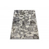 Ghali 5104/82874c ivory | Carpet.ua