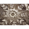Ghali 5105/83874 ivory | Carpet.ua
