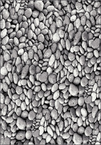 Gold B&W 273/18