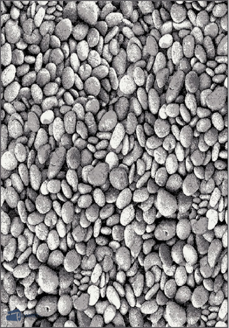 Gold B&W 273/18 | carpet.ua 