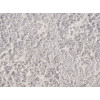 Itea 42003/106 (runner) | carpet.ua 