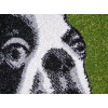 Kolibri 11062/130 | carpet.ua 