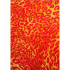 Kolibri 11066/162 | Carpet.ua
