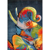 Kolibri 11115/120 | Carpet.ua