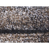 Kolibri 11196/BG12 | carpet.ua 