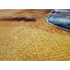 Kolibri 11263/160 | Carpet.ua