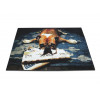 Kolibri 11277/180 | carpet.ua 