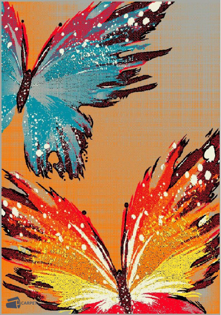 Kolibri 11278/160 | carpet.ua 