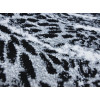Kolibri 11301/190 | Carpet.ua