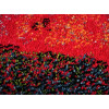 Kolibri 11398/120 | Carpet.ua
