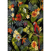 Kolibri 11435/183 | Carpet.ua